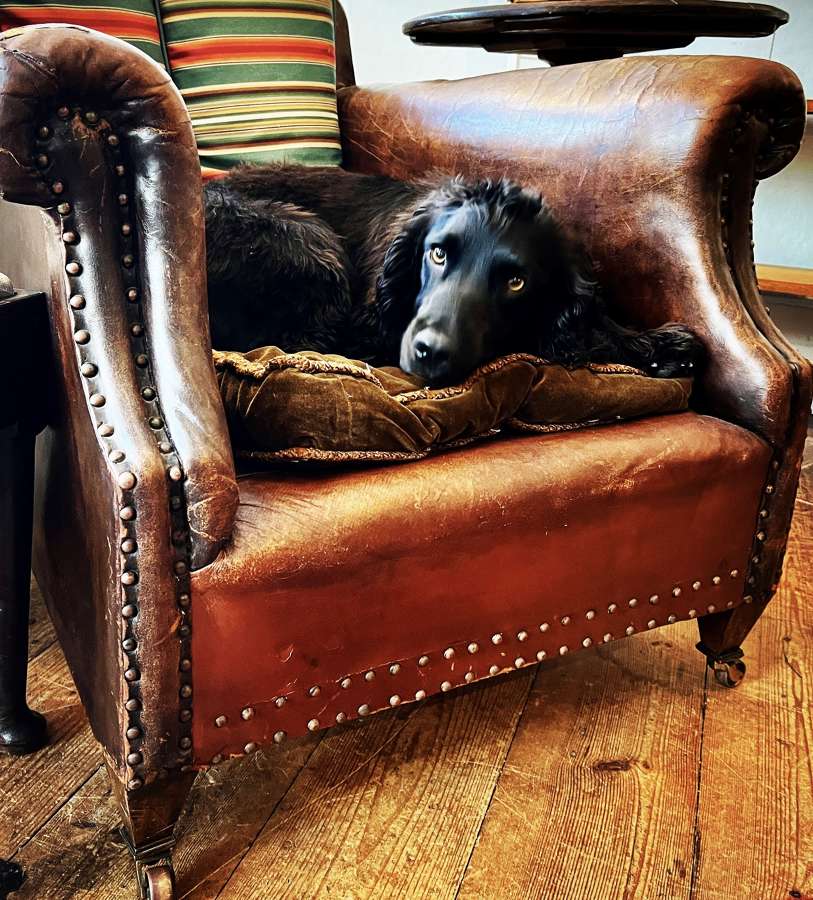 Furnish