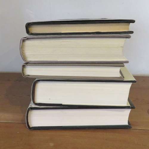 Five First Editions by Martin Amis