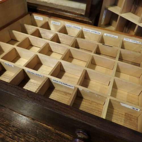 19thC Stained pine tabletop specimen chest