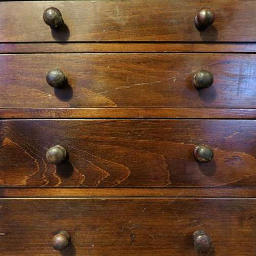 19thC Stained pine tabletop specimen chest