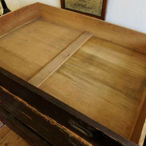 Early 20thC Campaign style plan chest